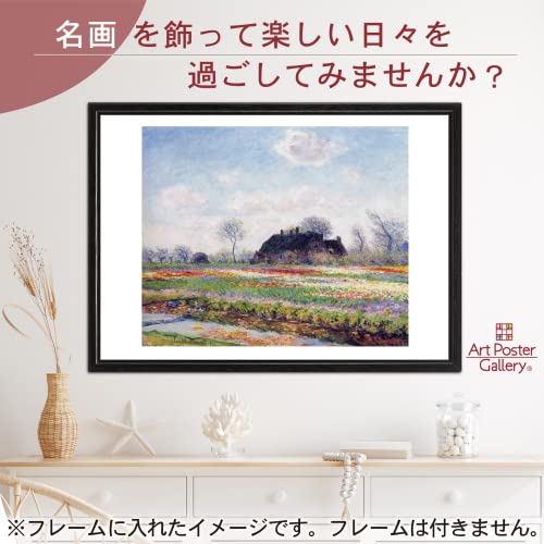 mone poster A3 size sasen high m. tulip field picture . art interior ornament panel name . goods stylish wall art 