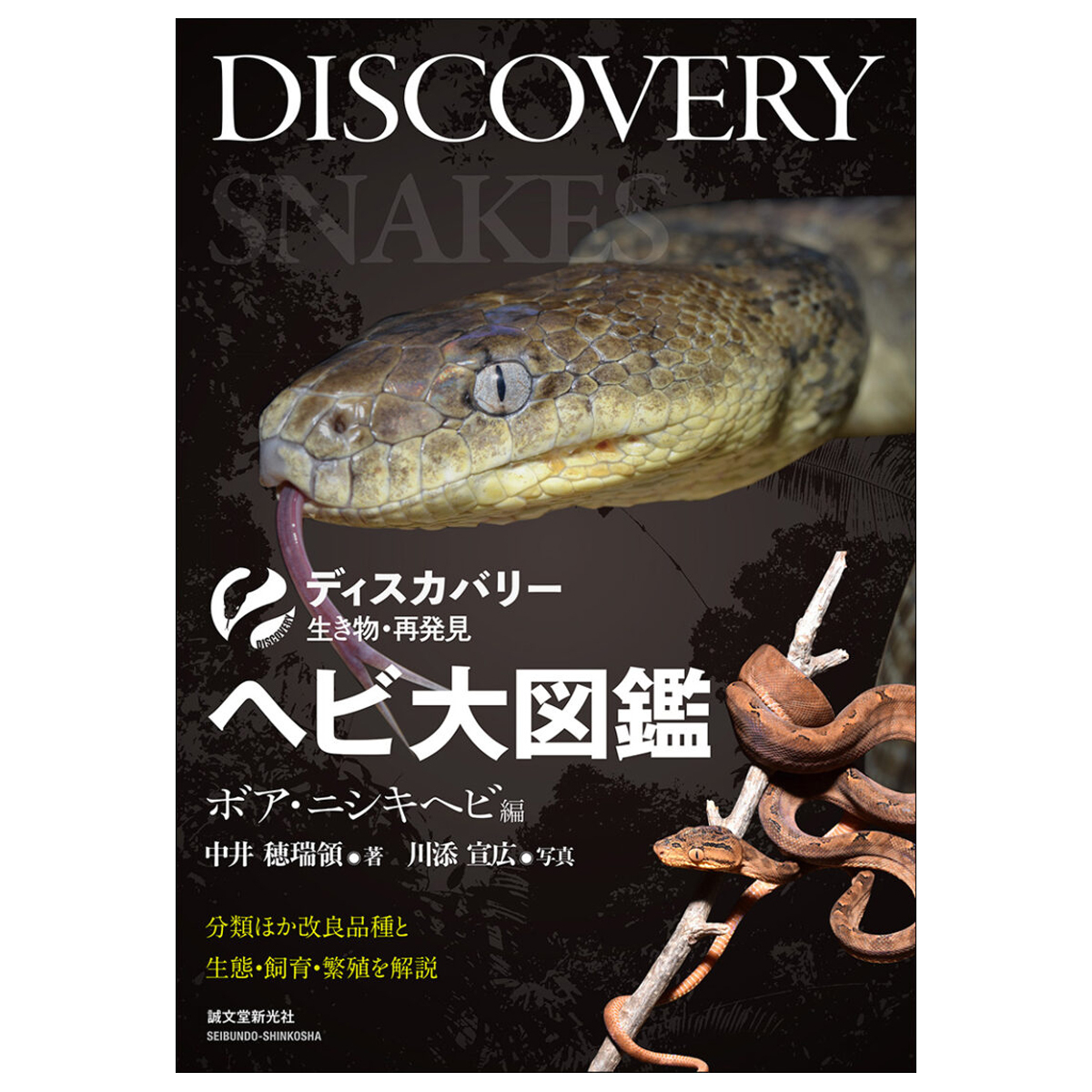 ヘビ大図鑑　分類ほか改良品種と生態・飼育・繁殖を解説　ボア・ニシキヘビ編 （ディスカバリー生き物・再発見） 中井穂瑞領／著　川添宣広／写真の商品画像