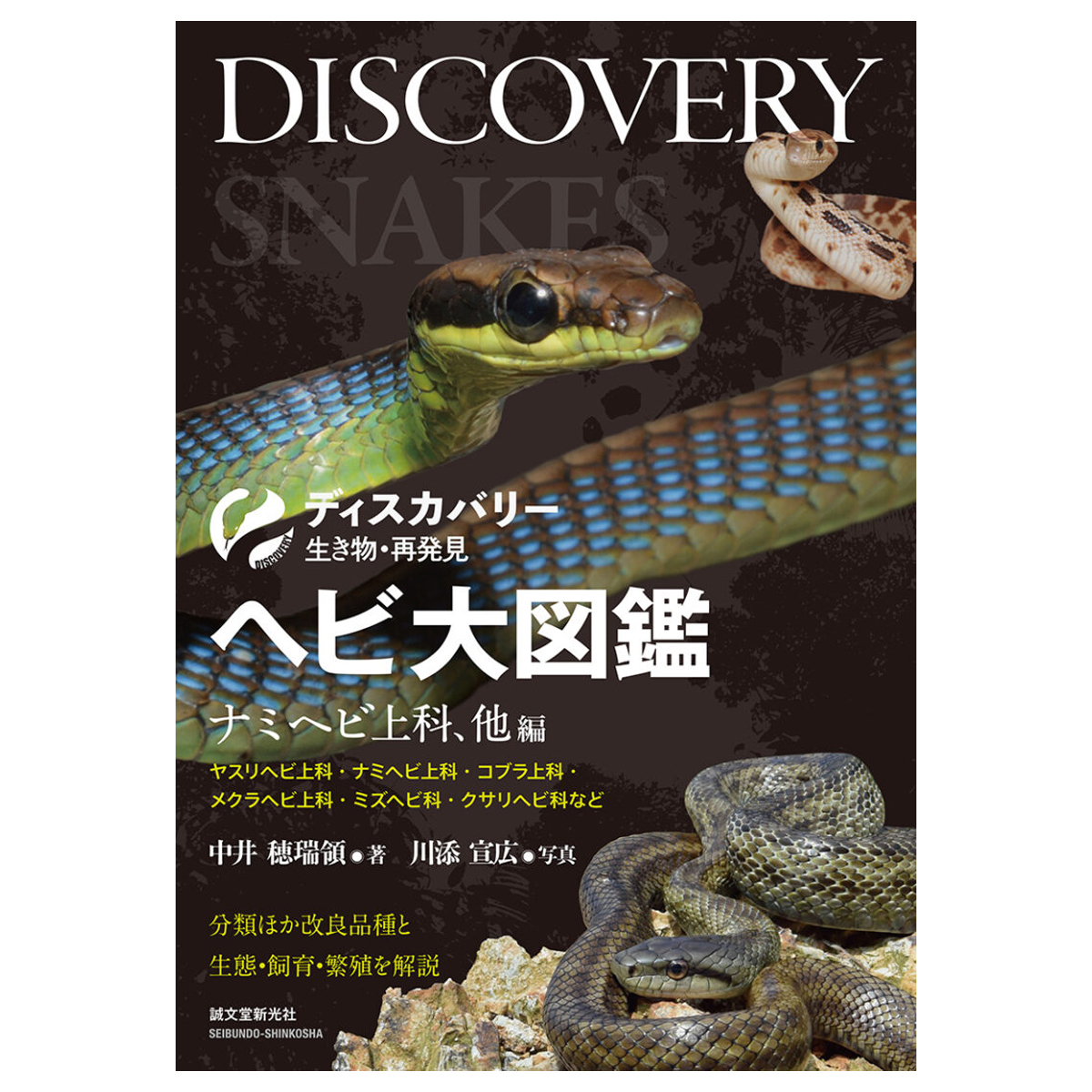 ヘビ大図鑑　分類ほか改良品種と生態・飼育・繁殖を解説　ナミヘビ上科、他編 （ディスカバリー生き物・再発見） 中井穂瑞領／著　川添宣広／写真の商品画像