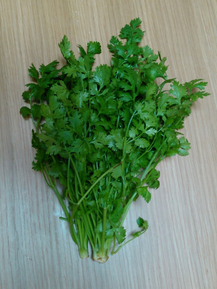 coriander ( coriander ) 1000g raw vegetable agriculture house direct delivery 
