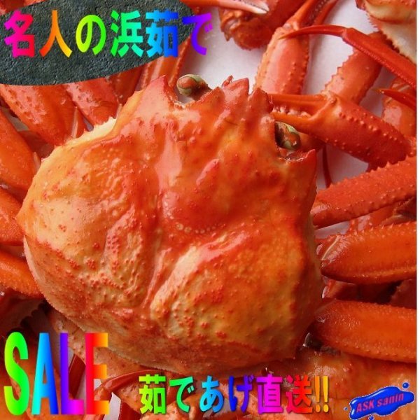 .....M size 1 pcs (300-400g) crab crab 