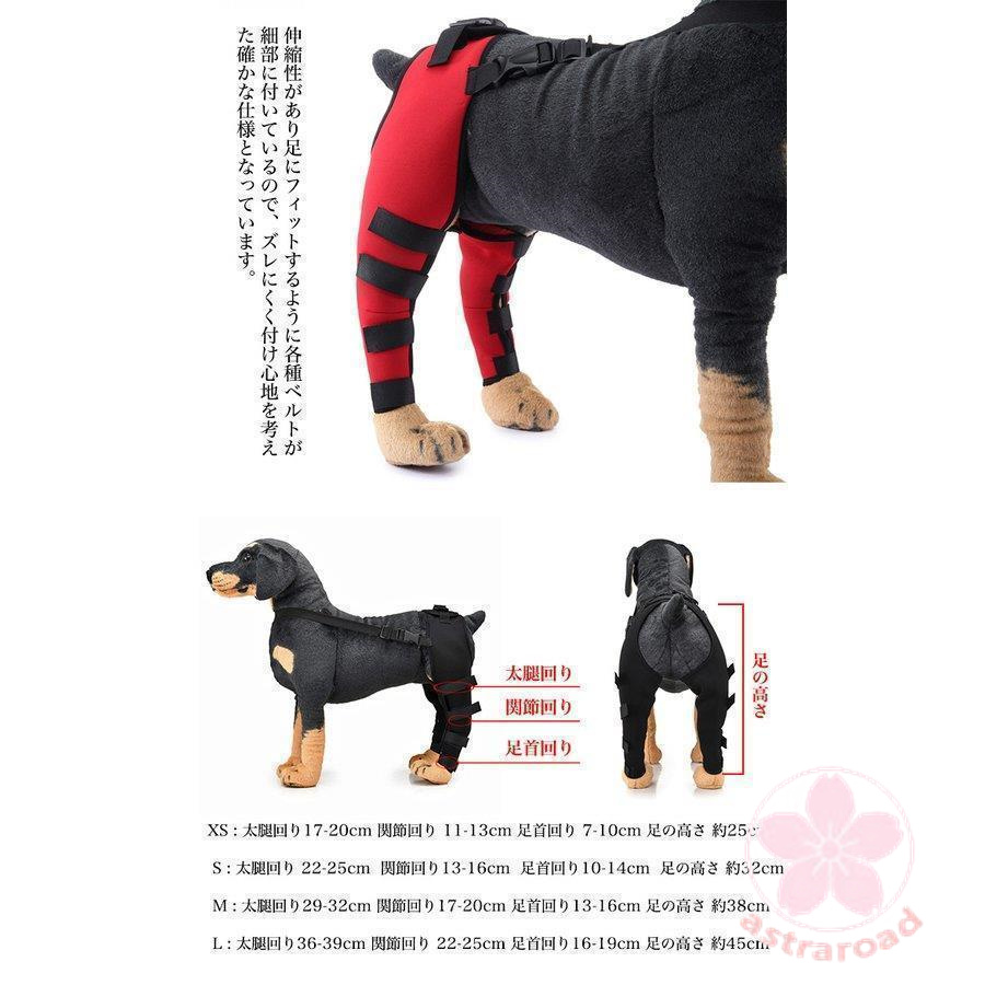  собака для .. протектор задний для ноги колени опора .. защита . после терапия товары для домашних животных домашнее животное одежда 