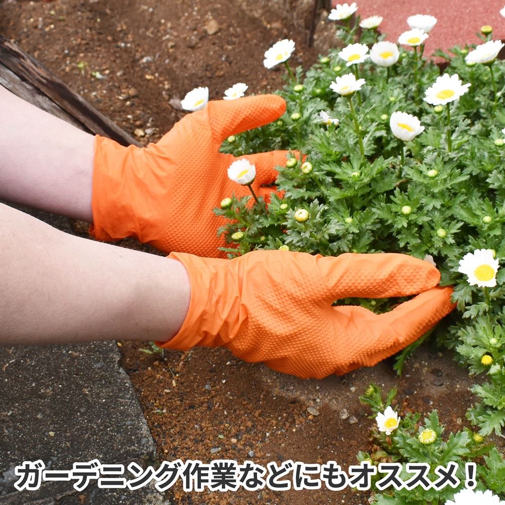 APnitoliru glove L orange (50 sheets insertion ) lnitoliru gloves embossment la Tec s un- use powder free DIY