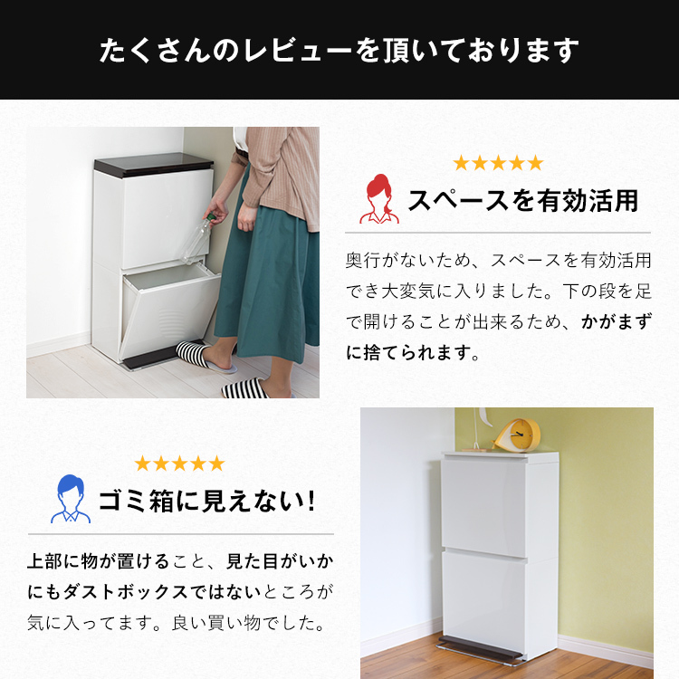 オリジナル ゴミ箱 キッチン 分別 2段 ワイド 40リットル ペダル アスベル Asvel おしゃれ 2分別 縦型 40l 40l 大容量 ワゴン 蓋付き 資源ゴミ ごみ箱 完全送料無料