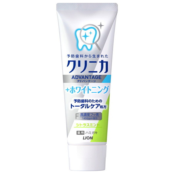 シトラスミント / 1セット