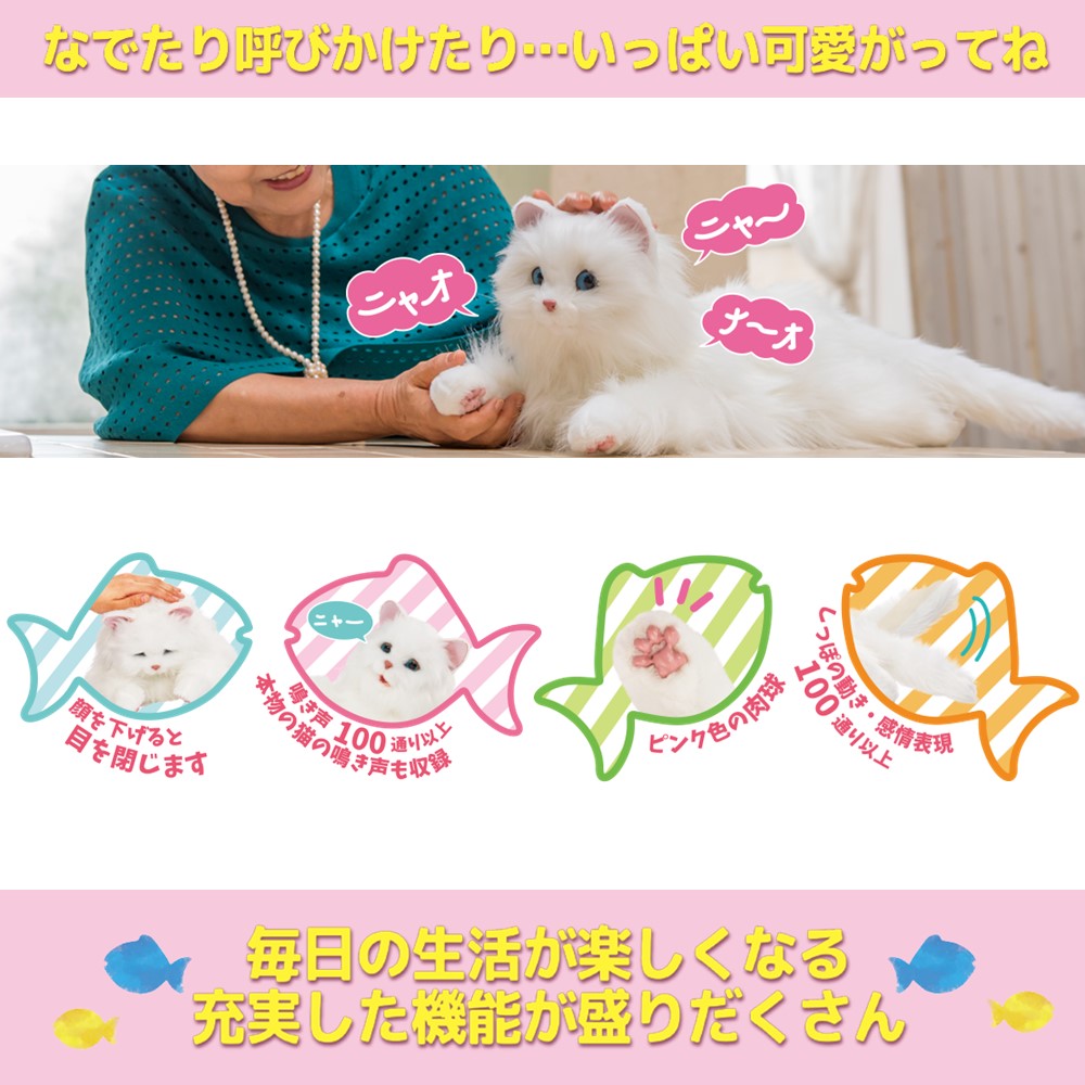 shi.............. Chan your Partner cat soft toy .. healing -stroke less cancellation ... seniours . person Respect-for-the-Aged Day Holiday gift present 