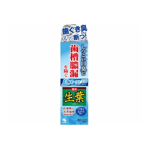 小林製薬 生葉 薬用歯磨き 息スーッと実感タイプ 100g×1本 生葉 歯磨き粉の商品画像