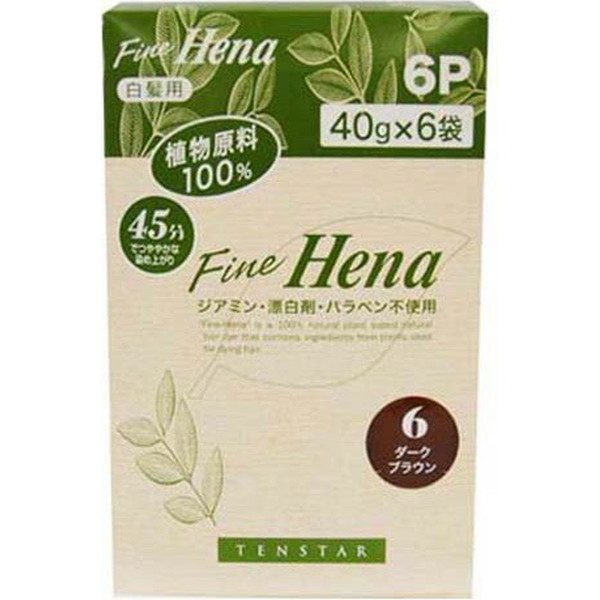 テンスター ファインヘナ（ダークブラウン）40g × 6袋入 × 1箱