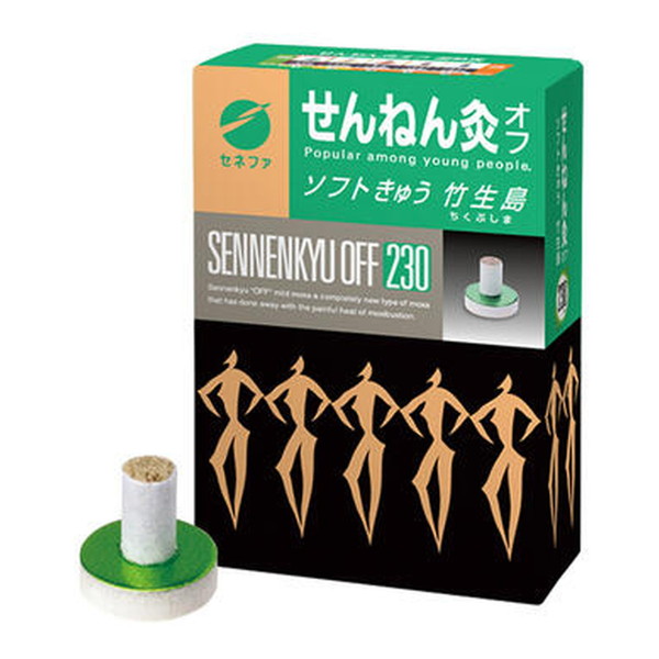 せんねん灸 せんねん灸オフ レギュラーきゅう 伊吹 260点入 お灸 - 最