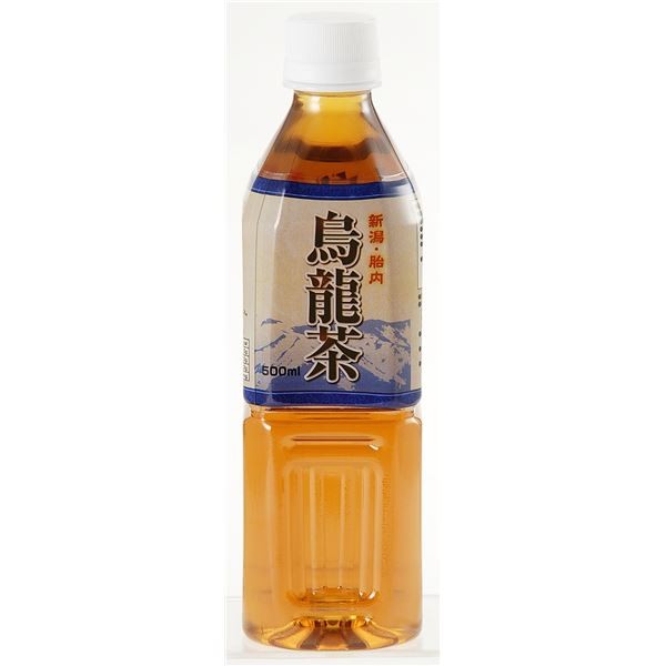 ( bulk buying ) Niigata . inside height .. . dragon tea 500ml×240ps.@ PET bottle 