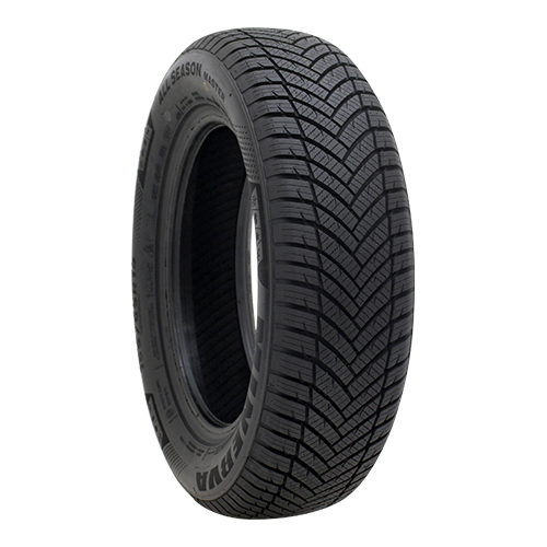 165/65R14 tire all season tire MINERVA ALL SEASON MASTER