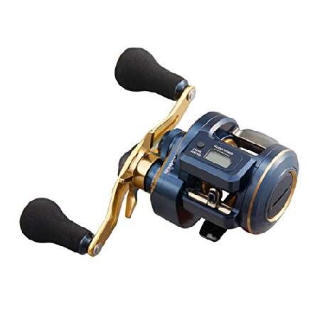 ダイワ 21 SALTIGA IC 100P-DH リール DAIWA（釣り） 21 ソルティガIC 100P-DH 釣り ベイトリール - 最安値