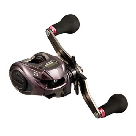 DAIWA（釣り） 21 紅牙 IC 150P 釣り ベイトリール - 最安値・価格比較