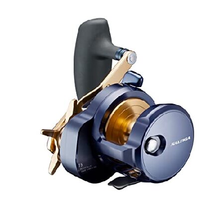 DAIWA 22 ソルティガ 15H ベイトリール DAIWA（釣り） 22 ソルティガ 15H 釣り ベイトリール - 最安値・価格