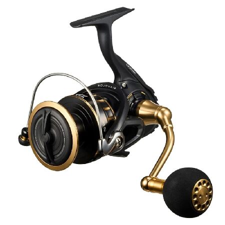 BG SW8000-H　DAIWA　リール　釣り DAIWA（釣り） 23 BG SW 8000-P スピニングリール - 最安値・価格比較