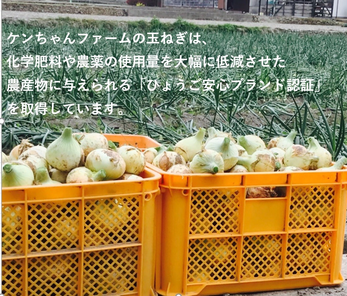  Awaji Island new onion 10 kilo free shipping . pesticide special cultivation .... safety brand certification 