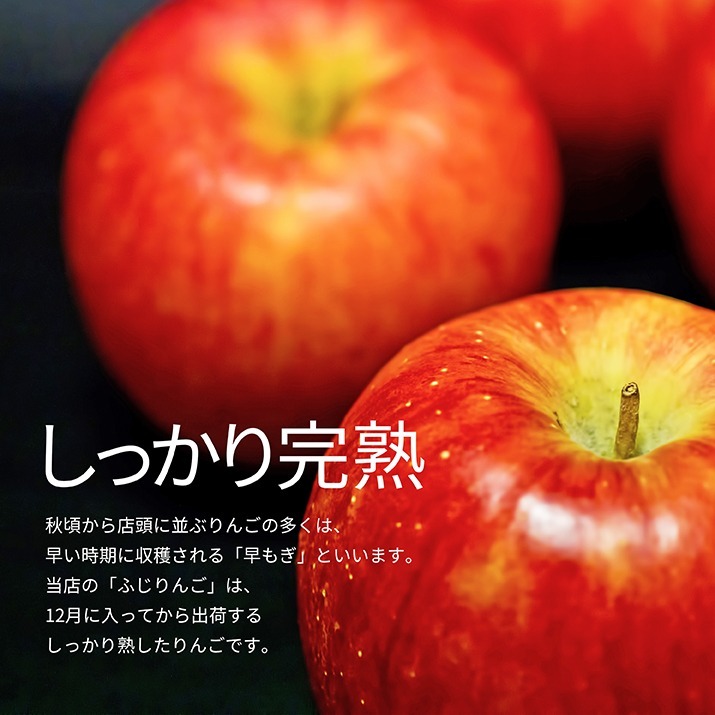  apple .. for 3kg 10~12 sphere rom and rear (before and after) molasses entering Yamagata prefecture production sun .. apple .. gift present present vanity case direct delivery from producing area free shipping distant place postage addition 