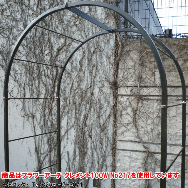  роза арка сад арка цветок арка роза арка ширина 160x глубина 52x высота 210cm роза арка садоводство садоводство двор вход steel садоводство сопутствующие товары Clement No.219