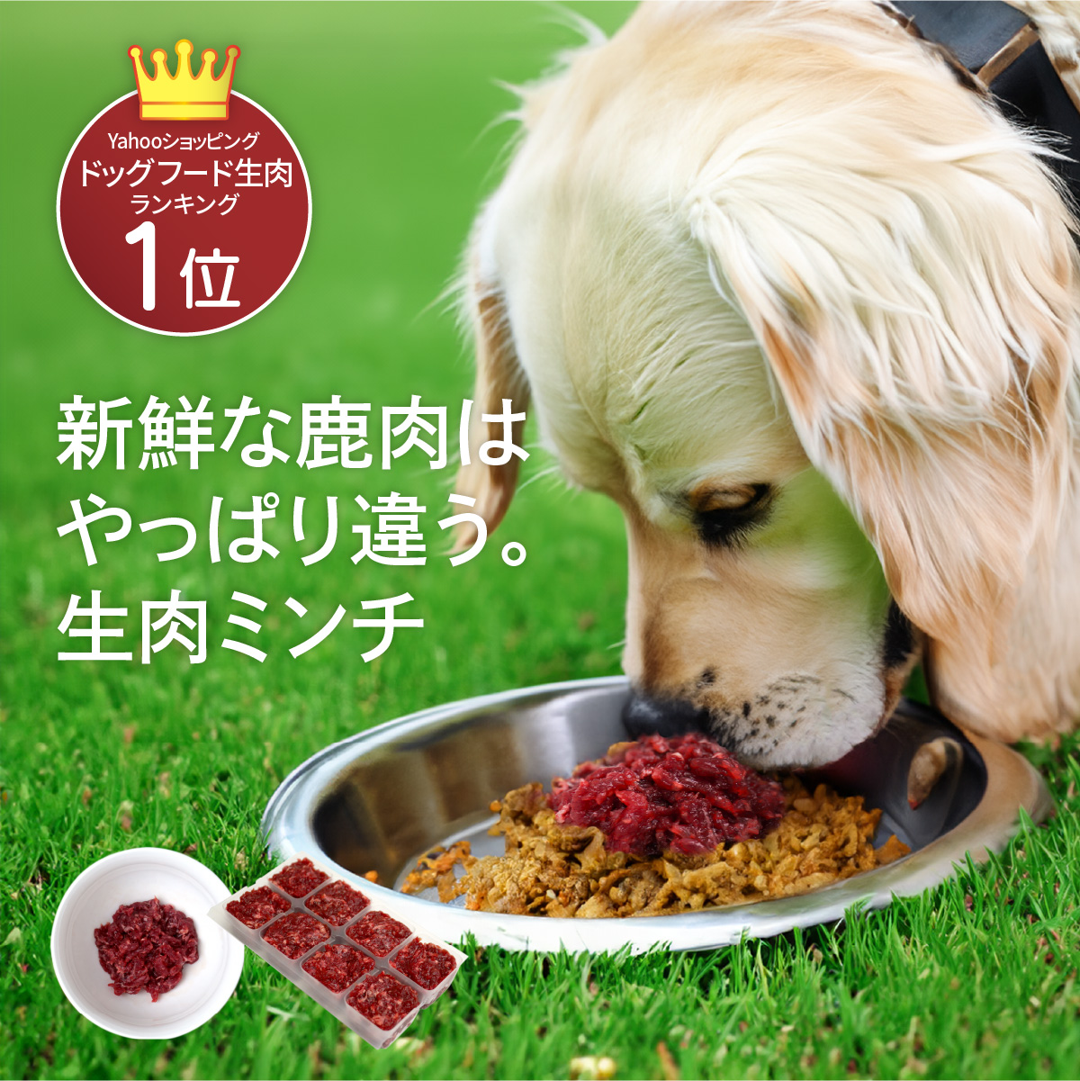 [ forest. . is .]. flat temple jibie dog for domestic production venison raw meat mince small amount . tray no addition sinia allergy measures meal . attaching improvement health .. height protein low fat .