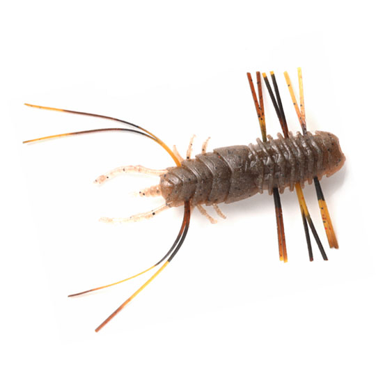 ワムワムフレア 48mm グリーンパンキンペッパーの商品画像