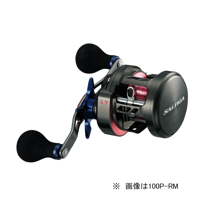ダイワ ソルティガ BJ 200SHL 釣り ベイトリール - 最安値・価格比較