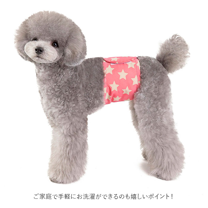  dog manner belt pet dog manner belt manner pants pants manner dog clothes dog wear dog for upbringing lovely stylish dog Cafe dog Ran 