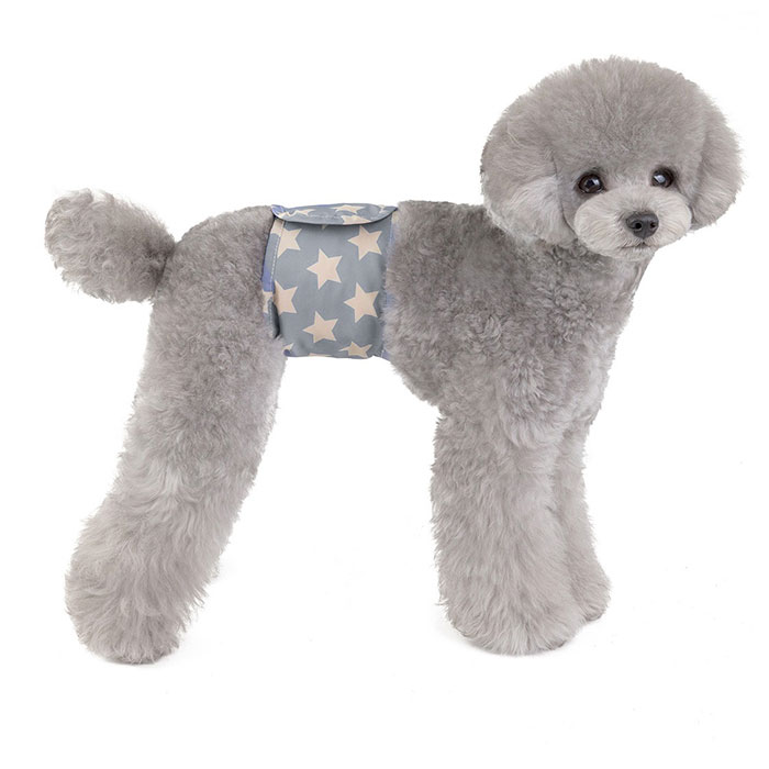  dog manner belt pet dog manner belt manner pants pants manner dog clothes dog wear dog for upbringing lovely stylish dog Cafe dog Ran 