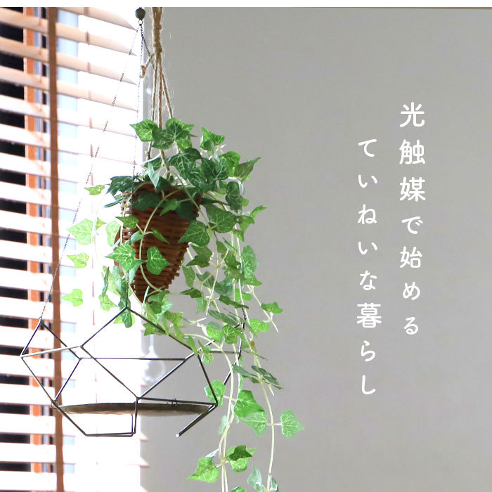  photocatalyst mail order photocatalyst fake green ornament imite-shon green stylish wall interior plant deodorization anti-bacterial decorative plant green bush artificial flower miscellaneous goods human work tree 