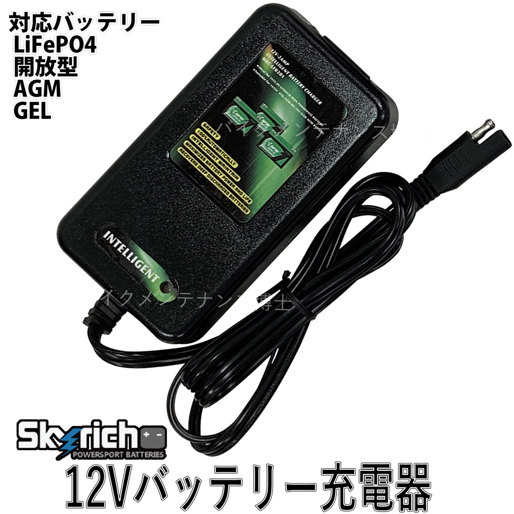  Sky Ricci company exclusive use lithium ion battery charger SKYRICH bike battery charger 