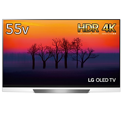 LGエレクトロニクス OLED55E8PJA ［55V型］ 液晶テレビ、薄型テレビ