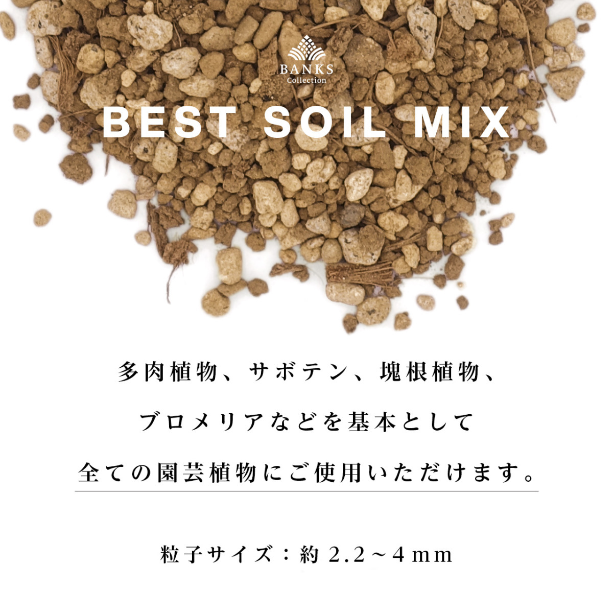 BSM3 the best soi Lumix 3L1 sack Best Soil Mix banks collection decorative plant for potting soil 