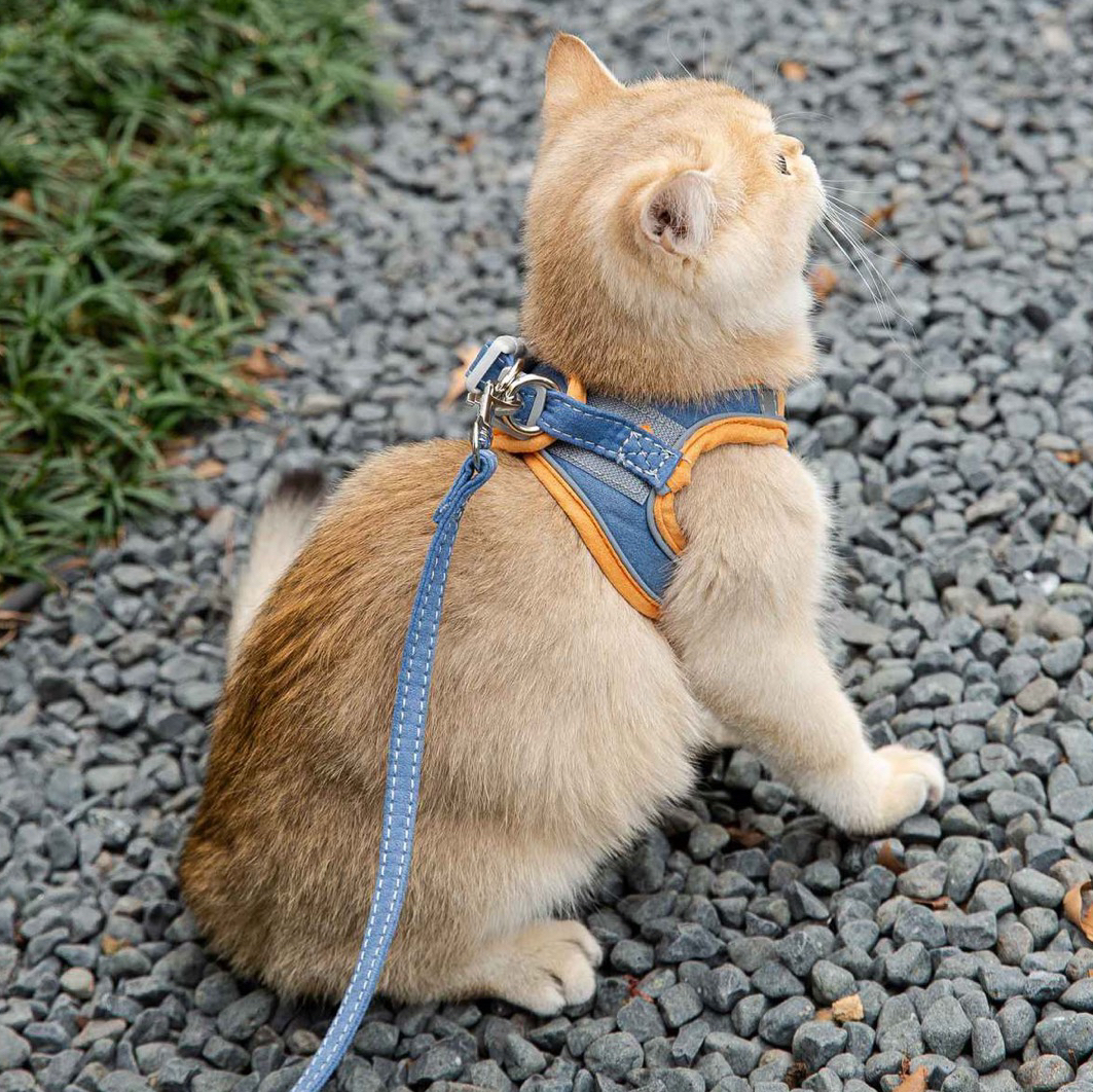  Lead harness set cat small animals small size dog pet walk lovely colorful 