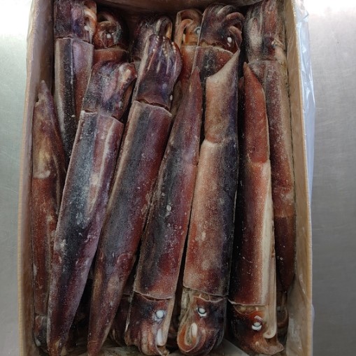  freezing .. boat inside one tail .... extra-large freezing raw ..18 cup ~20 cup entering Aomori prefecture production 1 cup approximately 450g total 18~20 cup (..| squid |..| sashimi | Pacific flying squid )