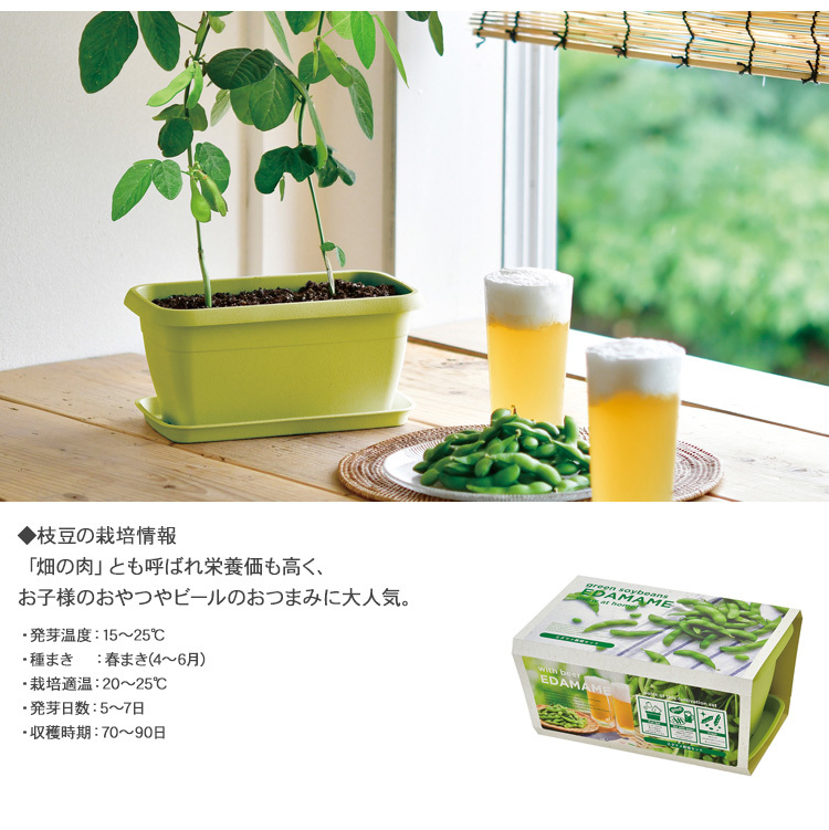 ガーデニング 栽培キット 室内 食育 育てる 家庭菜園 花 野菜 ひまわり 向日葵 手作り 工作 キット ハンドメイド 栽培キット エンジョイプランター Mbm 0599 Rooming 通販 Yahoo ショッピング