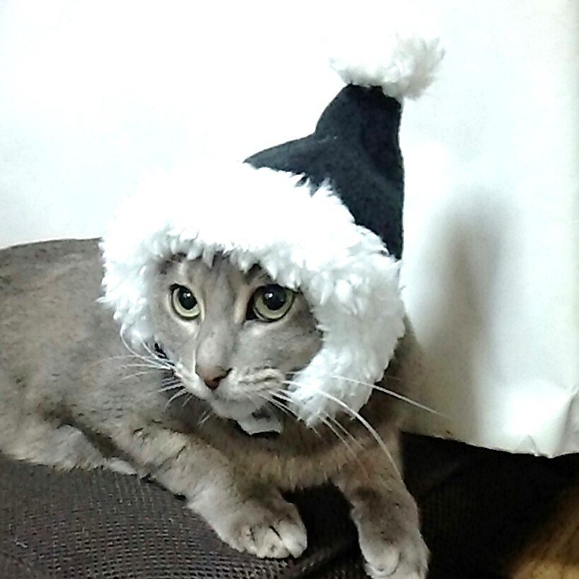  собака кошка для костюмированная игра солнечный ta san. шляпа ( чёрный ) Рождество преображение для домашних животных 