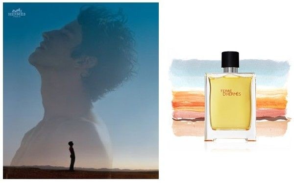 HERMES テール ドゥ エルメス オードトワレ 50ml Terre d'Hermes 男性