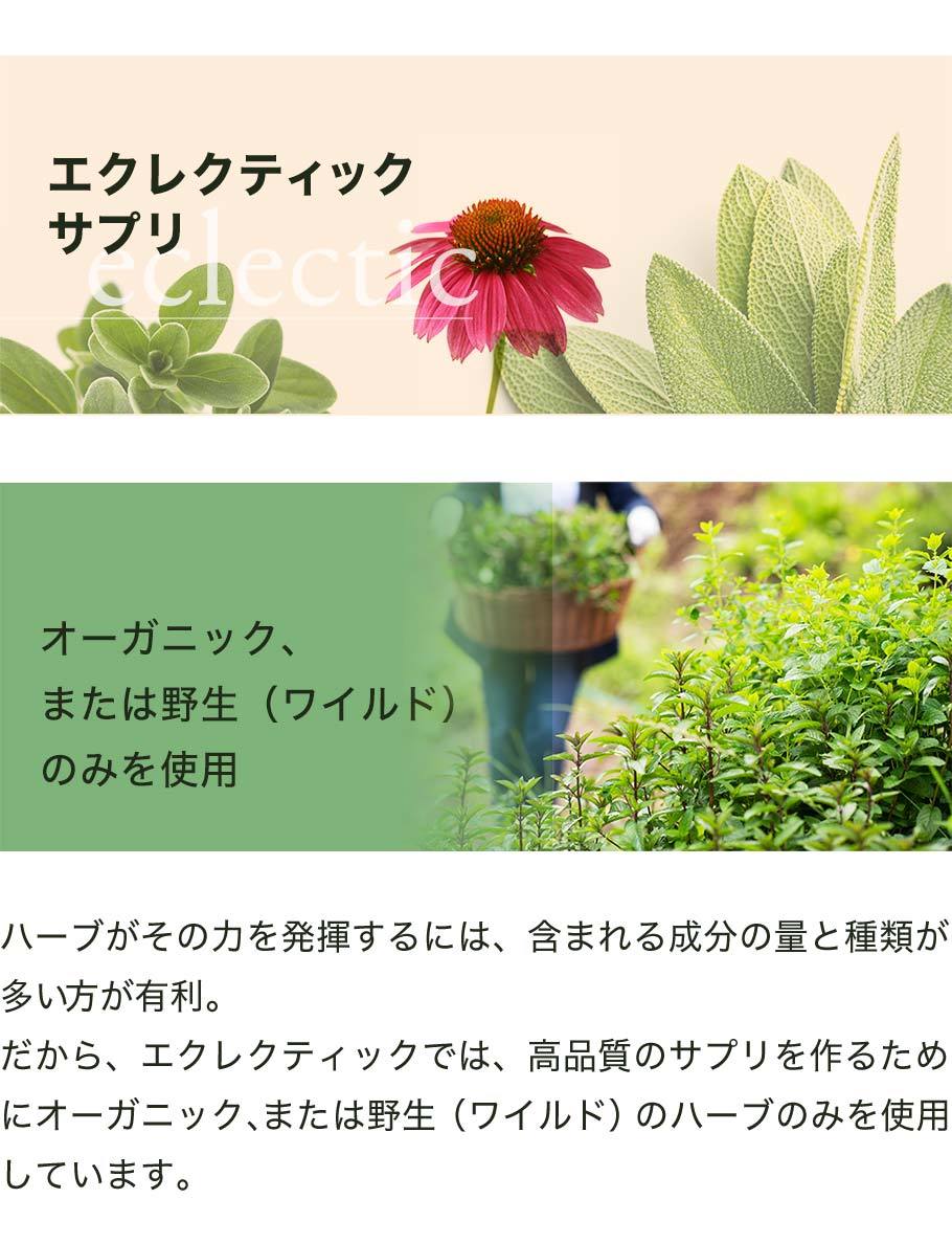  echinacea 45 bead supplement ekrektikeki not equipped a organic free z dried herb supplement 