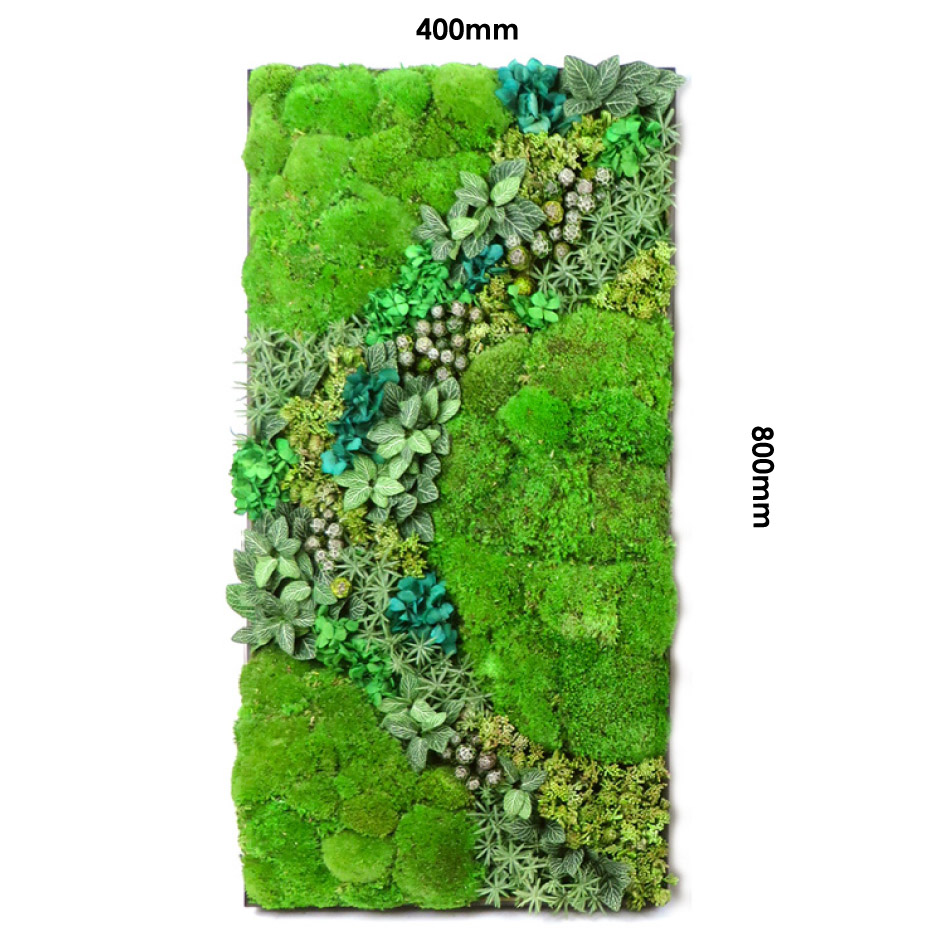  preserved flower # green wall [800] flower moss green ornament interior entrance Moss ..kokemoss building interior design [ shipping :15 business day ]