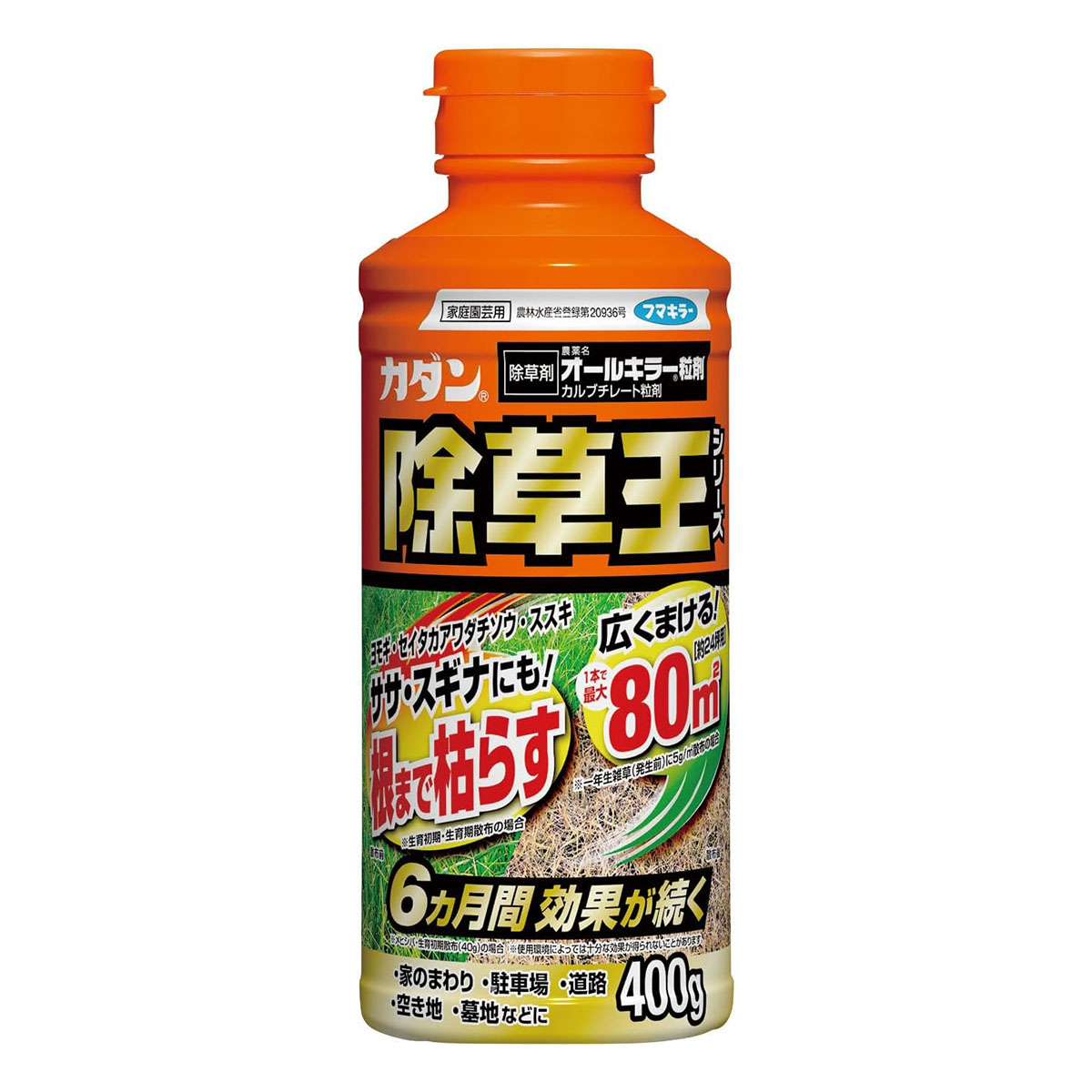 400g / 1個