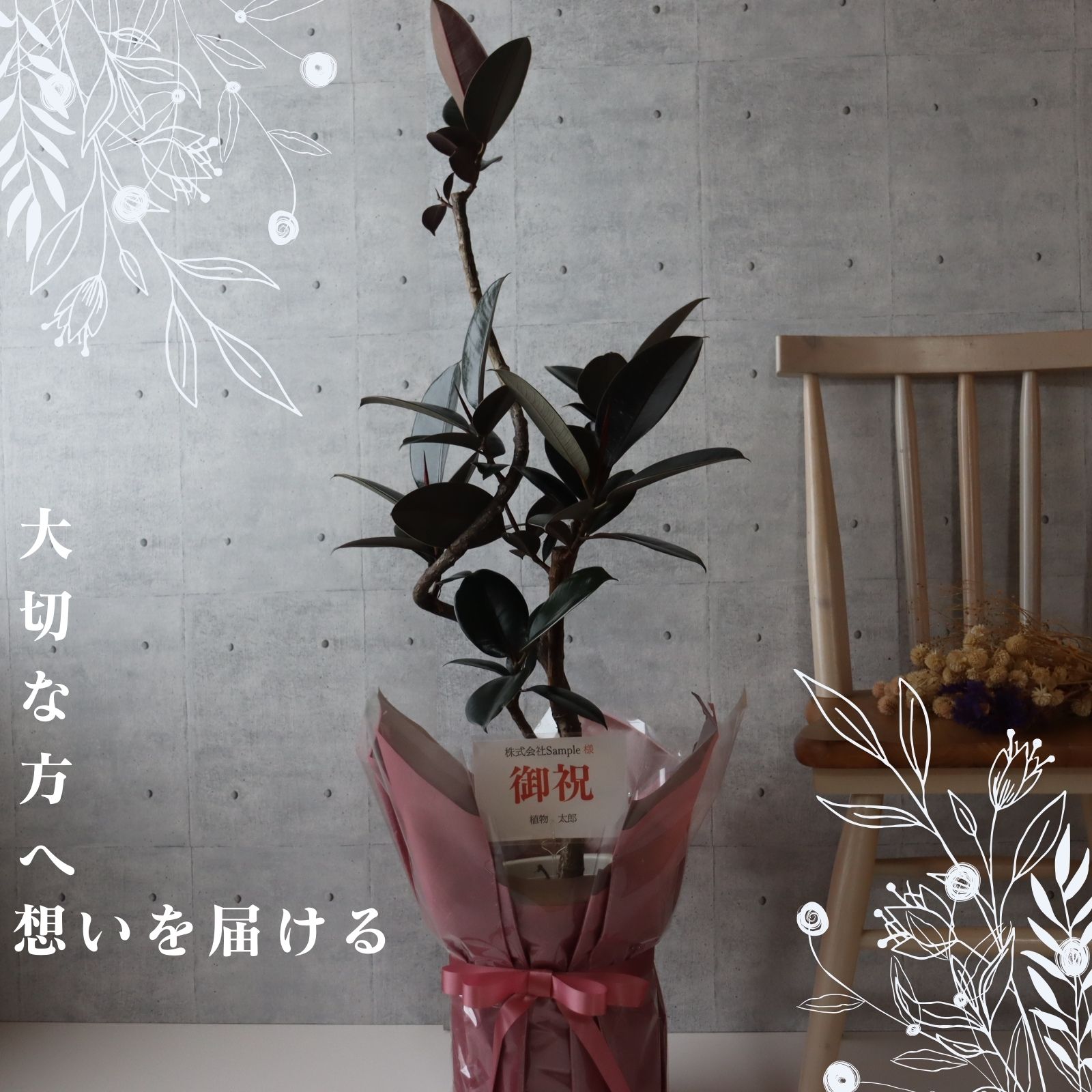 fi rental bar gun ti bend tailoring 8 number .. tailoring black rubber rubber tree celebration gift opening festival . decorative plant present Bon Festival gift bar gun ti-