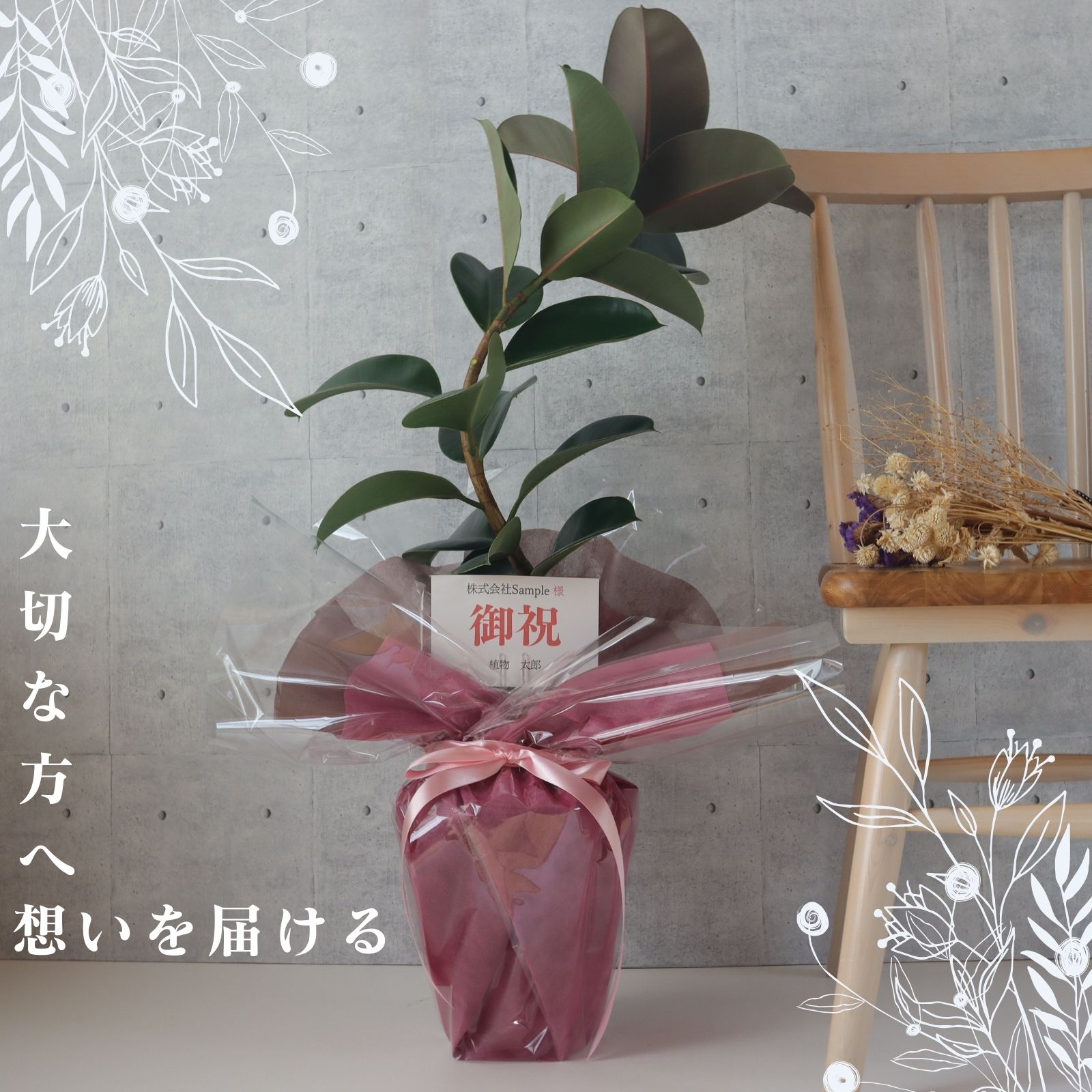 fi rental sophia bend tailoring 7 number rubber tree celebration gift opening festival . wrapping free decorative plant present Bon Festival gift year-end gift . obi plant S character tailoring 