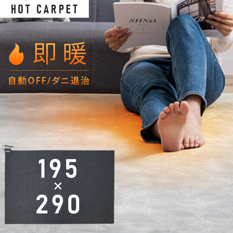 ホットカーペット TWA-4000BI （グレー）の商品画像