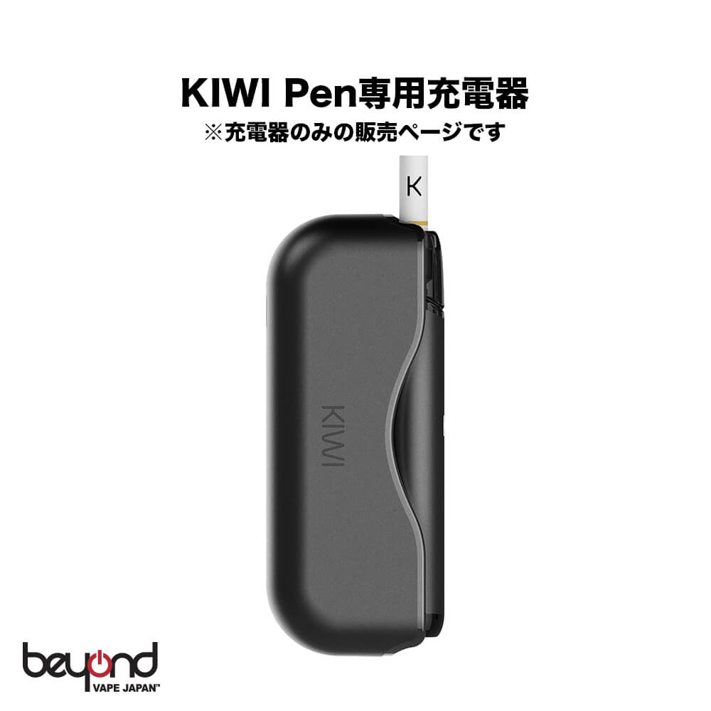 KIWI 1 シングルパワーバンク（Iron Gate）の商品画像