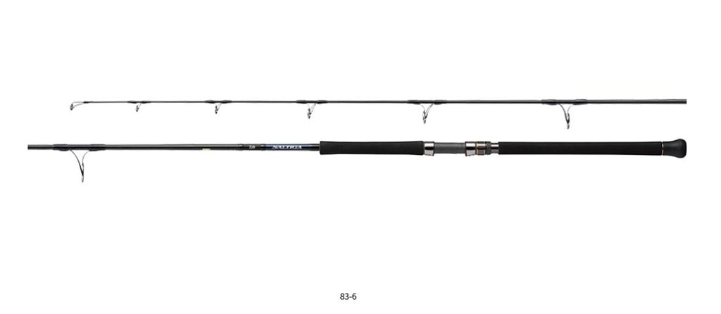 DAIWA（釣り） 24 ソルティガ C （キャスティング） 79-10 SALTIGA