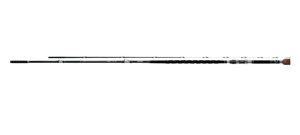 DAIWA（釣り） 幻覇王 別誂 クエ H483 幻覇王 釣り 磯竿 - 最安値