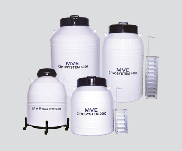  preservation container CryoSystem6000