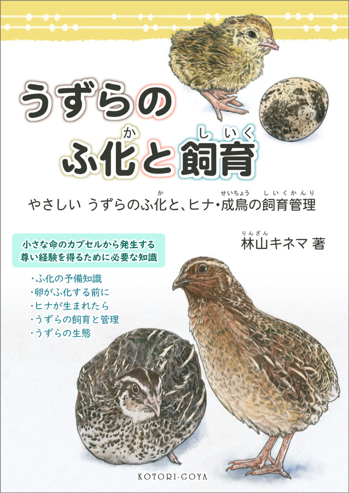 ko... shop publication .... ... breeding 234A0262 cat pohs correspondence possibility BIRDMORE bird moa CRAFT GARDEN bird supplies bird goods miscellaneous goods bird ..uzla......