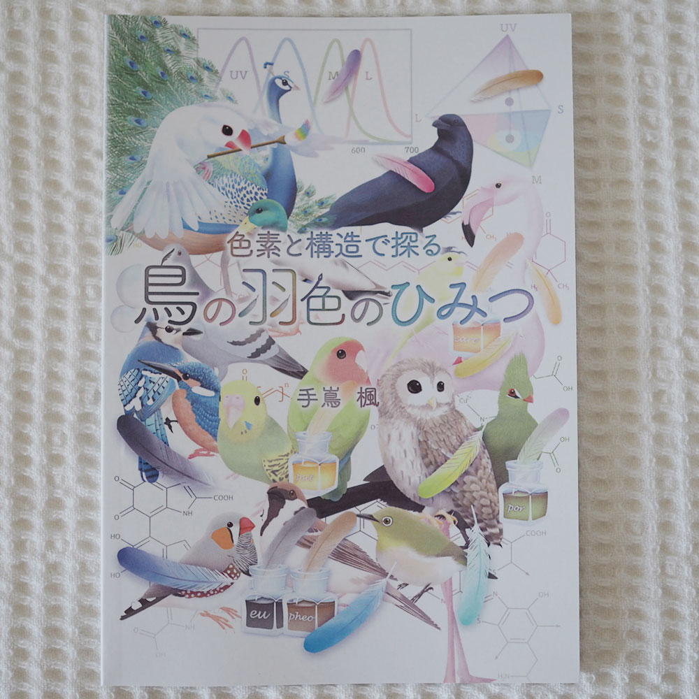  maple atelier booklet *[ dye . structure ... bird. feather color. secret ] birds many kind 202A0392 cat pohs correspondence possibility BIRDMORE bird moa CRAFT GARDEN bird supplies bird goods miscellaneous goods 