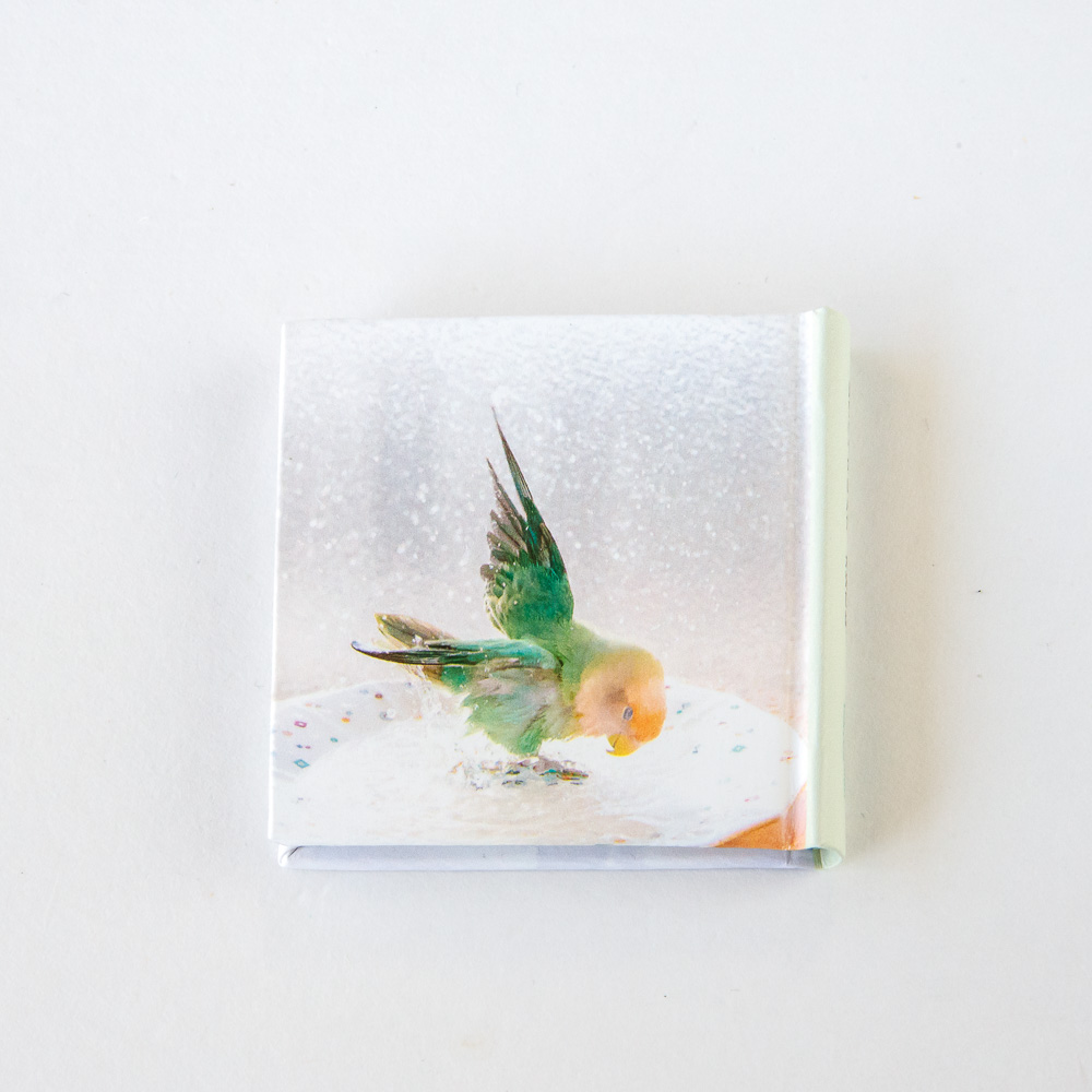 tokyoshiori 5cm photoalbum [ playing .. not .., water .. is!]ko The Klein ko245A0282 cat pohs correspondence possibility BIRDMORE bird moa CRAFT GARDEN bird goods 