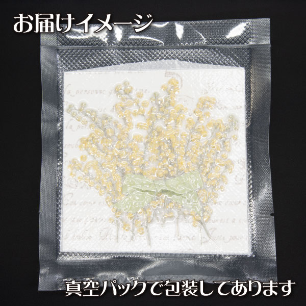  pressed flower mimo The ( Akashi a) vacuum pack l resin resin . go in smartphone case handicrafts 